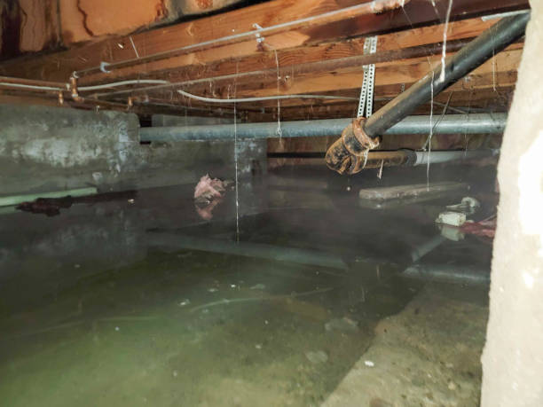 24/7 water damage repair in Wayne Heights, PA
