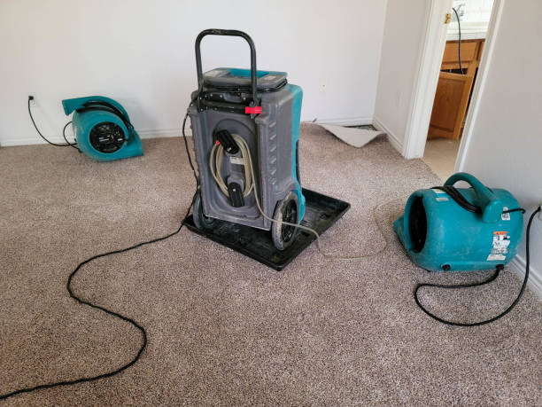 Best Water damage restoration cost  in Wayne Heights, PA
