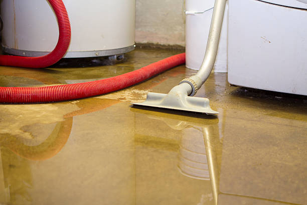 Best Carpet water damage restoration  in Wayne Heights, PA